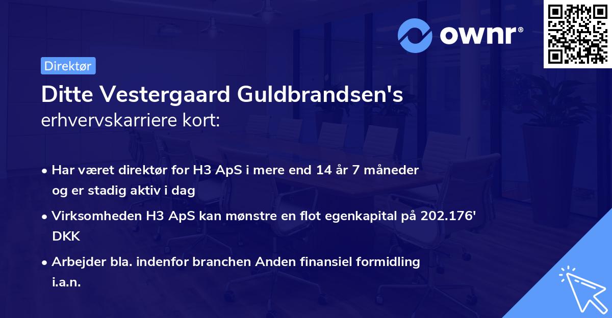 Ditte Vestergaard Guldbrandsen's erhvervskarriere kort