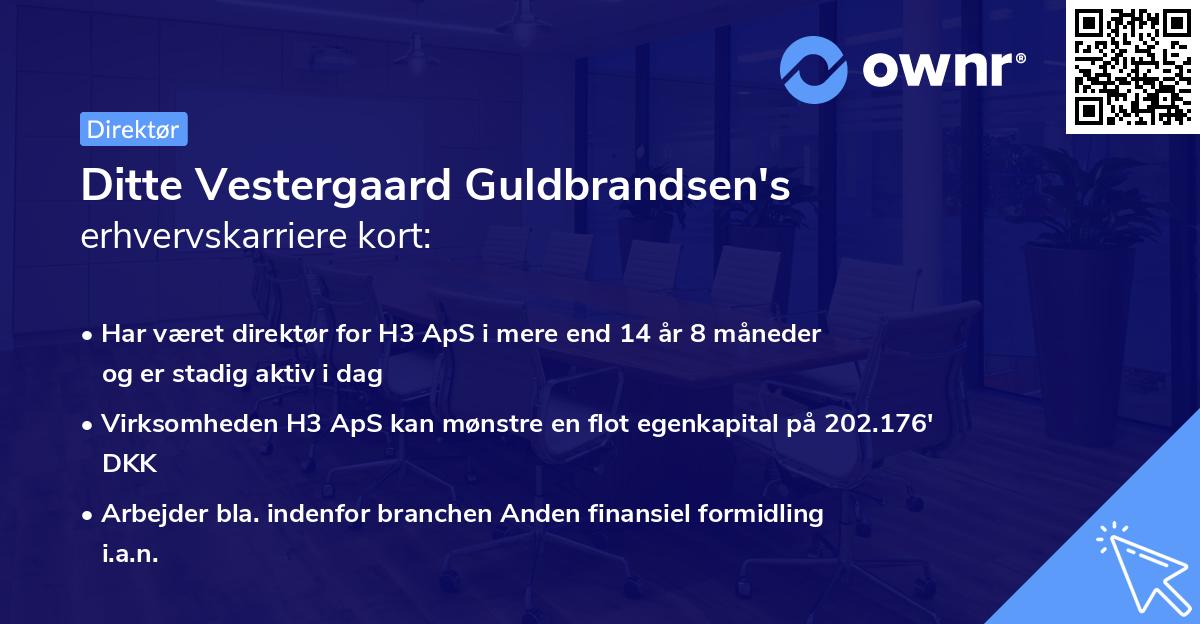Ditte Vestergaard Guldbrandsen's erhvervskarriere kort