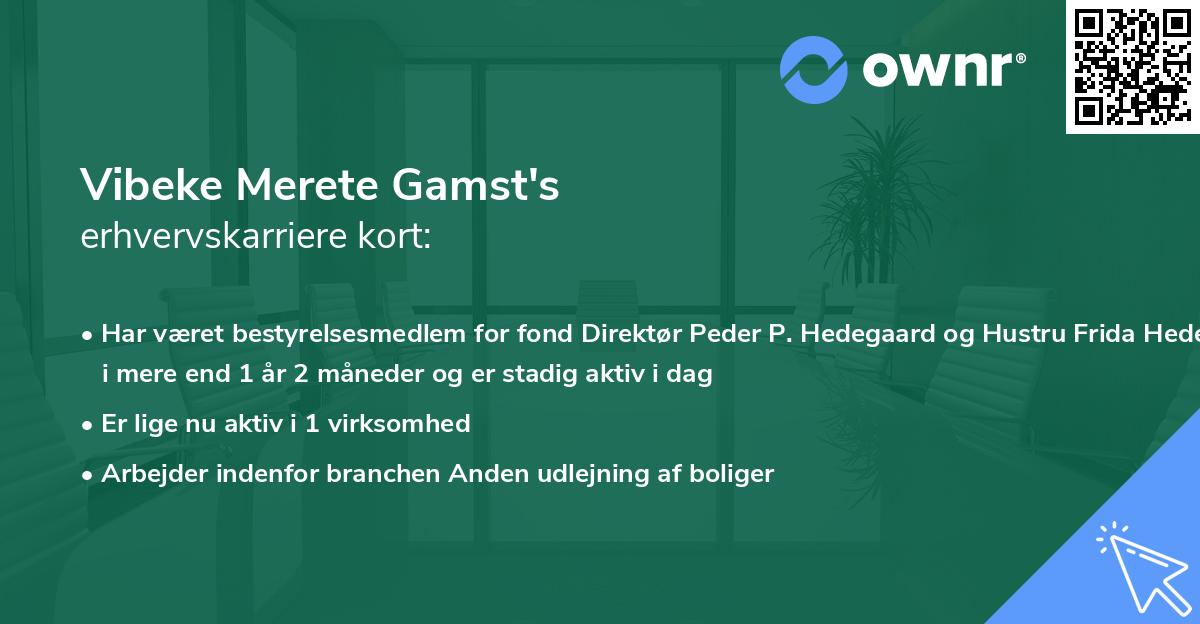 Vibeke Merete Gamst's erhvervskarriere kort