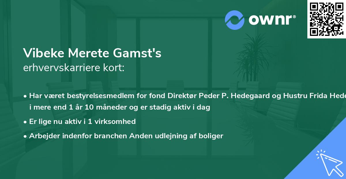 Vibeke Merete Gamst's erhvervskarriere kort