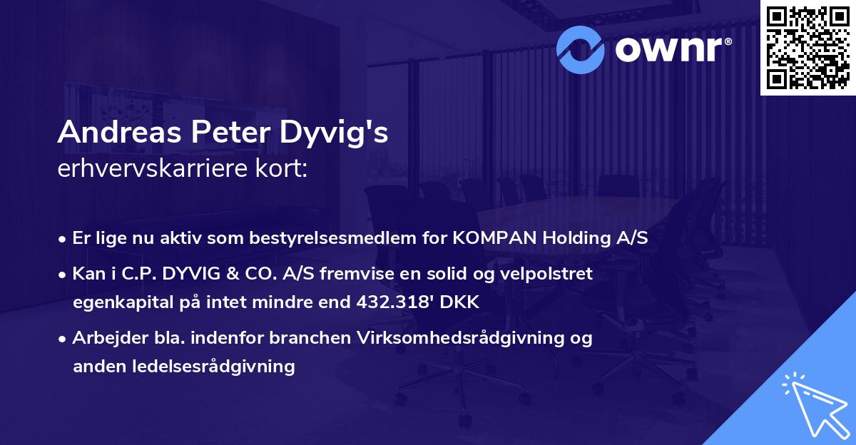 Andreas Peter Dyvig's erhvervskarriere kort