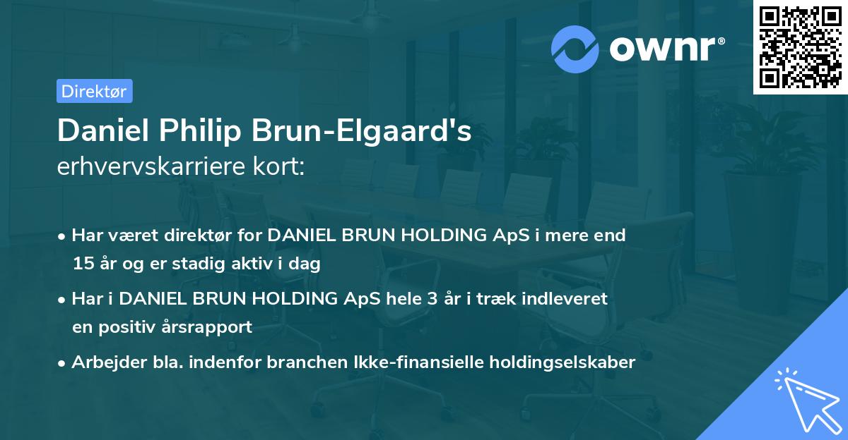 Daniel Philip Brun-Elgaard's erhvervskarriere kort