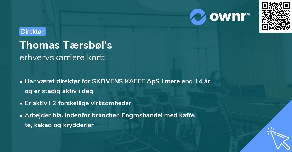 Thomas Tærsbøl's erhvervskarriere kort