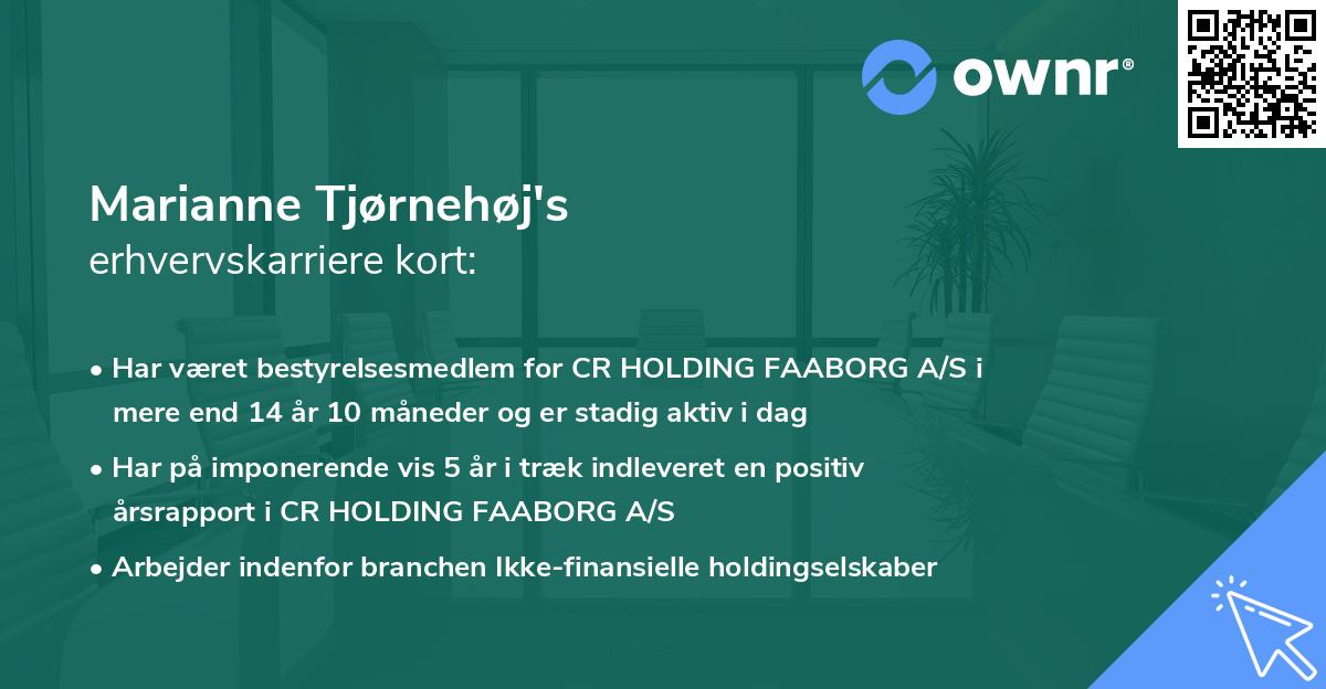 Marianne Tjørnehøj's erhvervskarriere kort