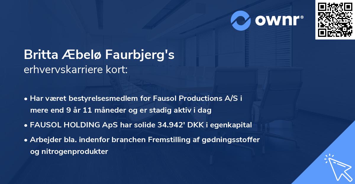 Britta Æbelø Faurbjerg's erhvervskarriere kort