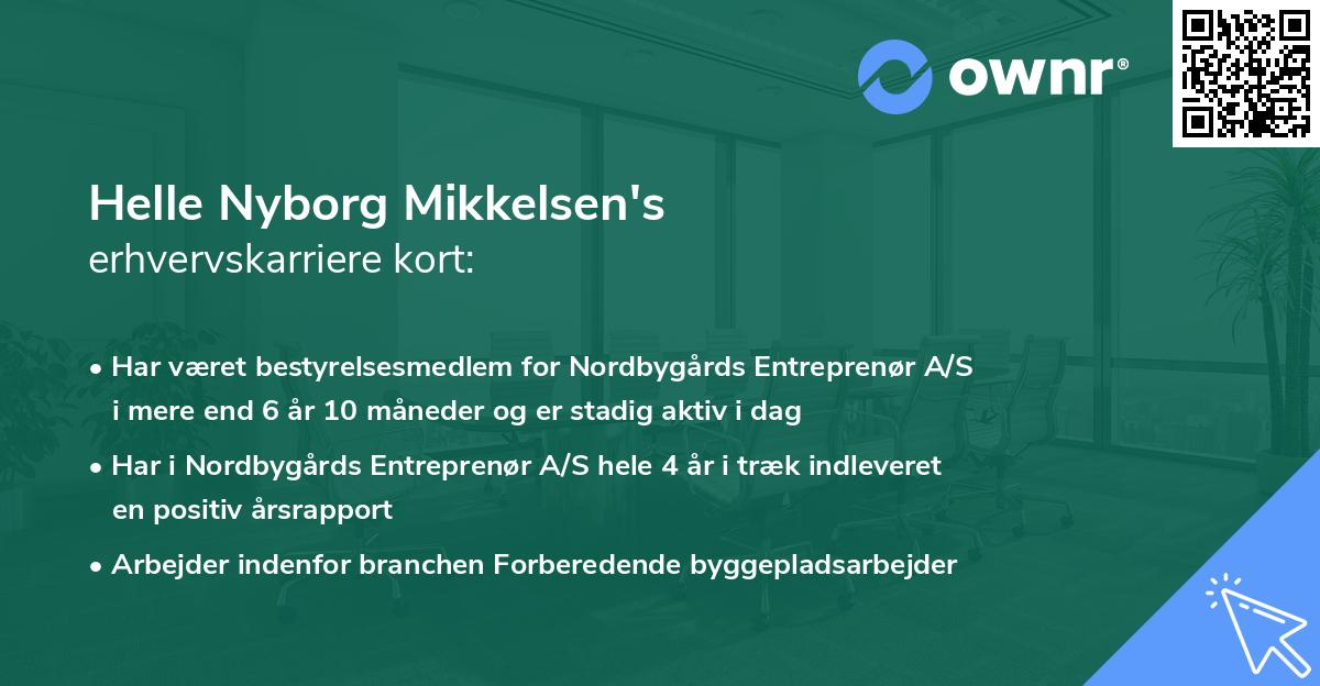 Helle Nyborg Mikkelsen's erhvervskarriere kort
