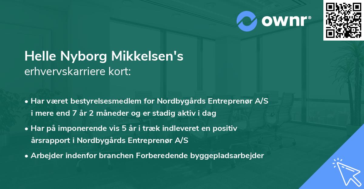 Helle Nyborg Mikkelsen's erhvervskarriere kort