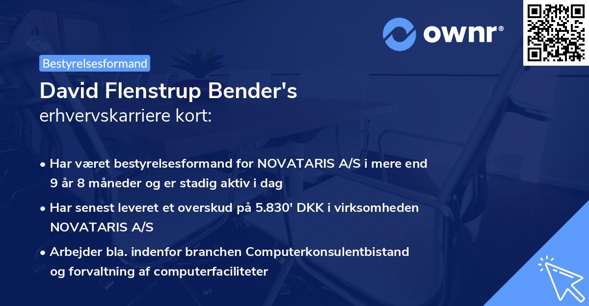David Flenstrup Bender's erhvervskarriere kort