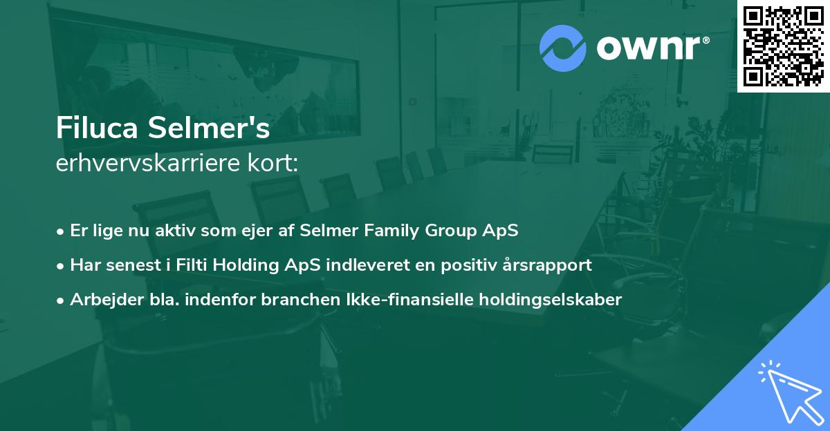 Filuca Selmer's erhvervskarriere kort