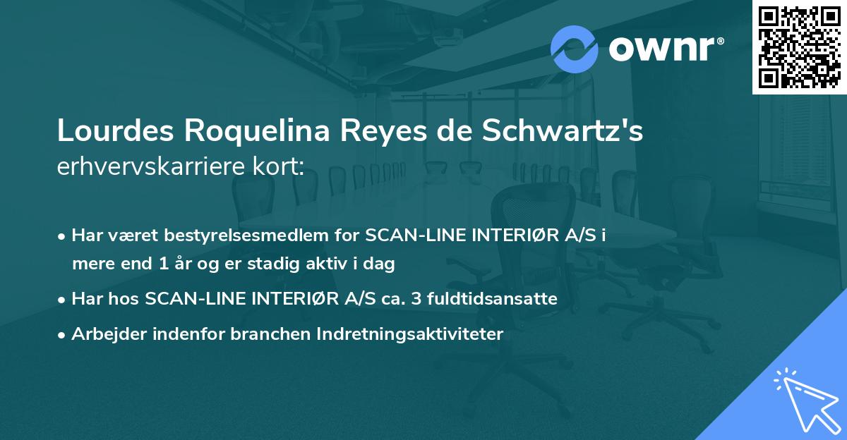 Lourdes Roquelina Reyes de Schwartz's erhvervskarriere kort