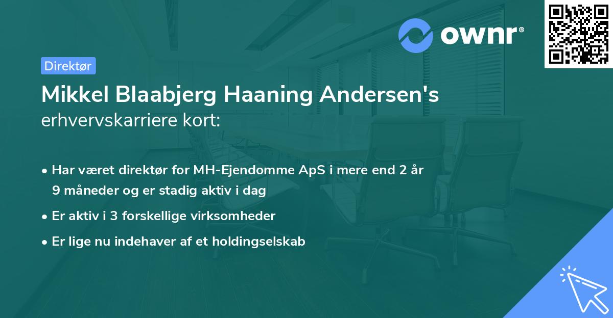 Mikkel Blaabjerg Haaning Andersen's erhvervskarriere kort