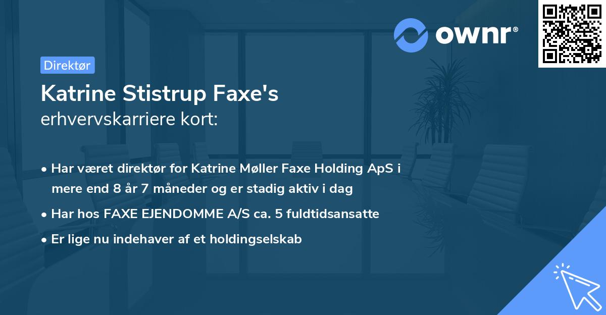 Katrine Stistrup Faxe's erhvervskarriere kort