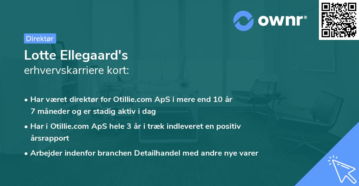 Lotte Ellegaard's erhvervskarriere kort