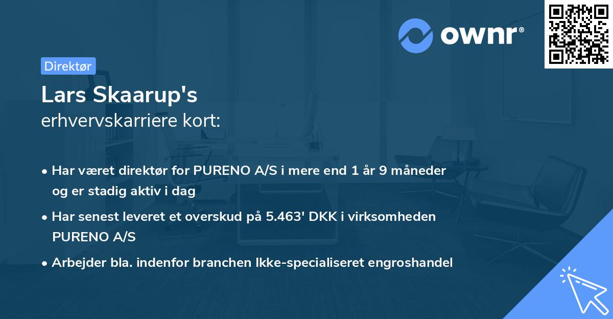 Lars Skaarup's erhvervskarriere kort