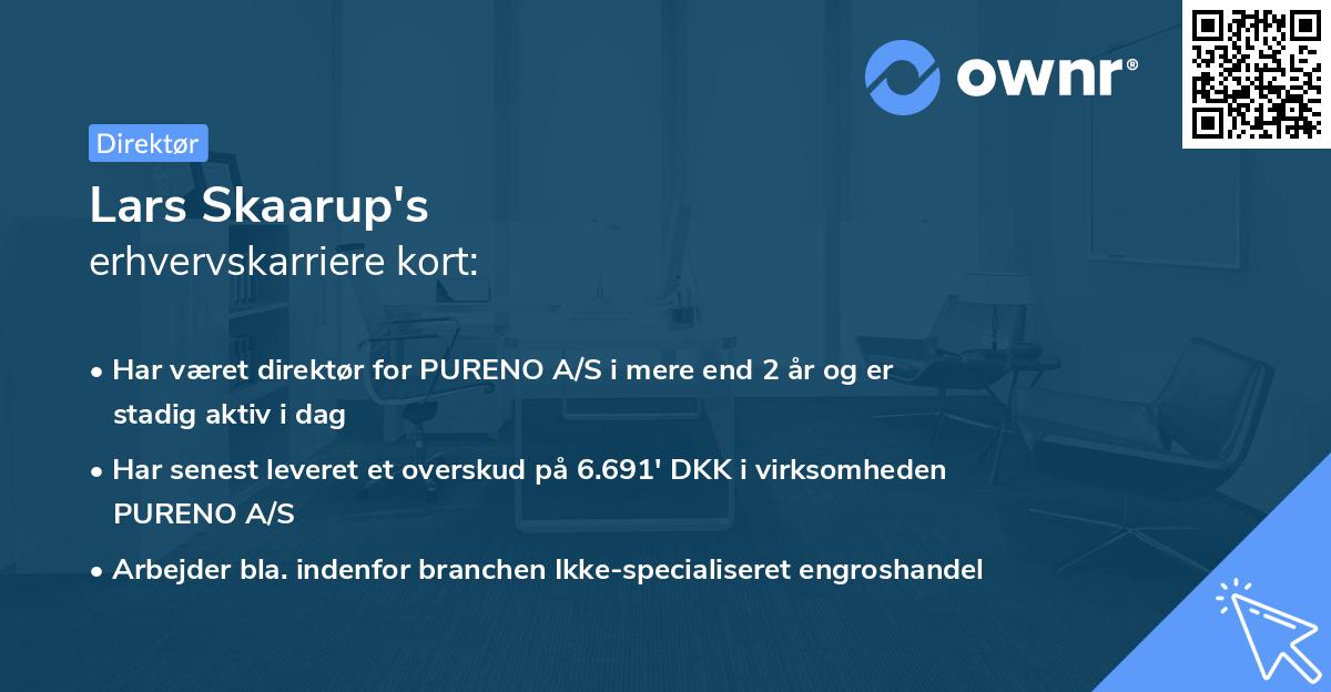 Lars Skaarup's erhvervskarriere kort