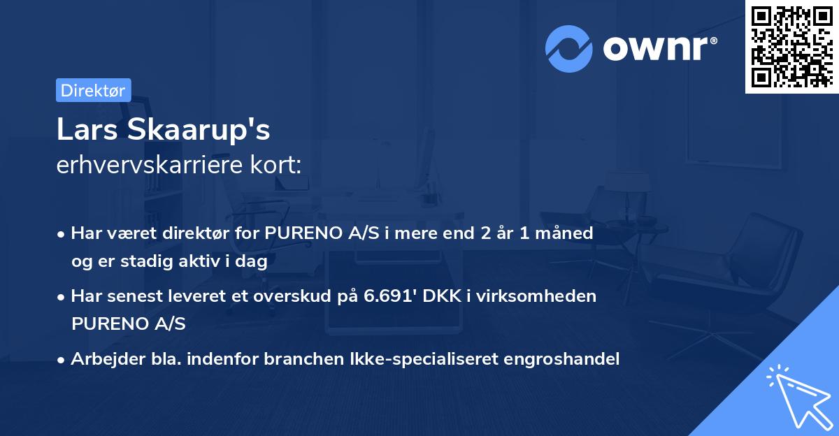Lars Skaarup's erhvervskarriere kort