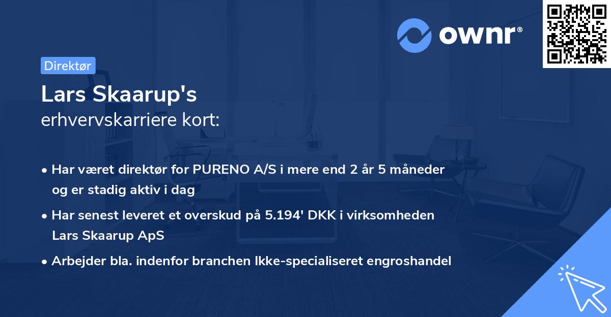 Lars Skaarup's erhvervskarriere kort
