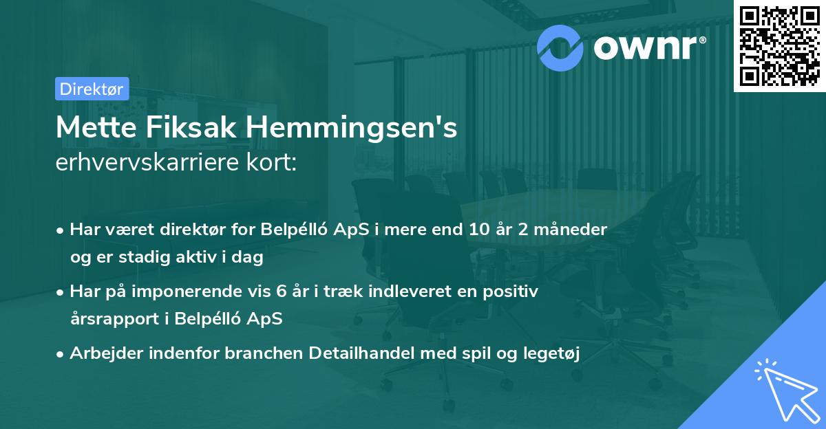 Mette Fiksak Hemmingsen's erhvervskarriere kort