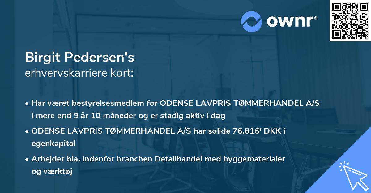 Birgit Pedersen's erhvervskarriere kort