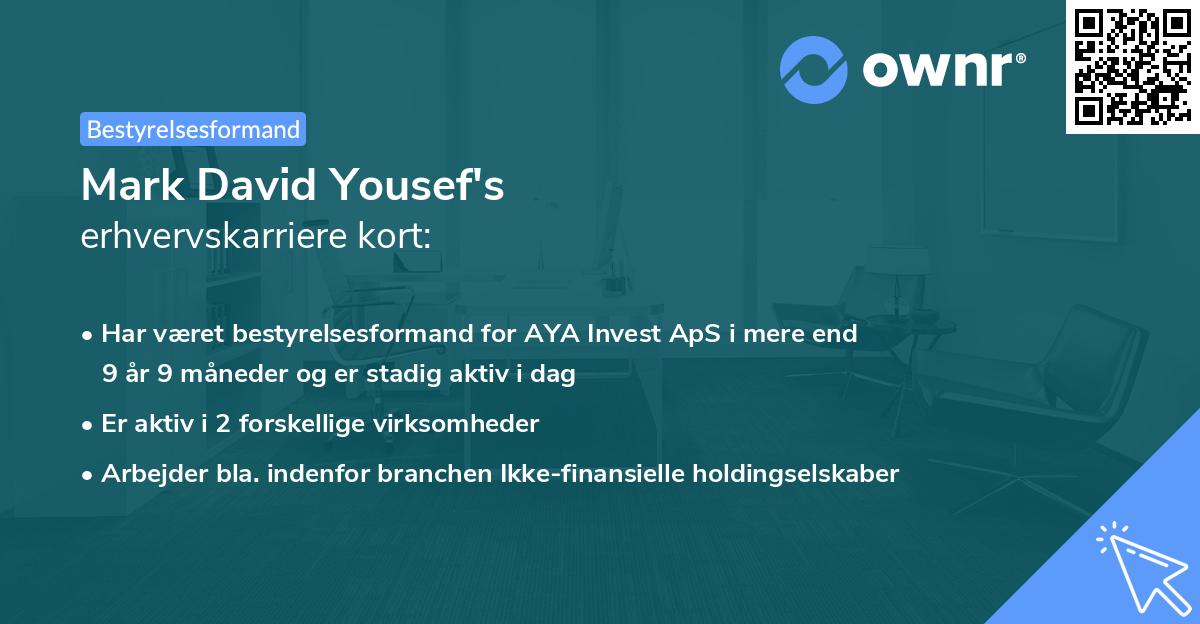 Mark David Yousef's erhvervskarriere kort