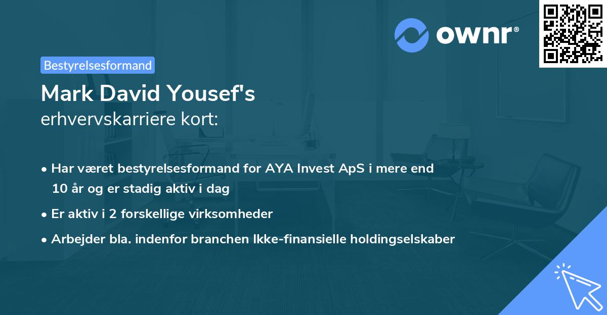 Mark David Yousef's erhvervskarriere kort