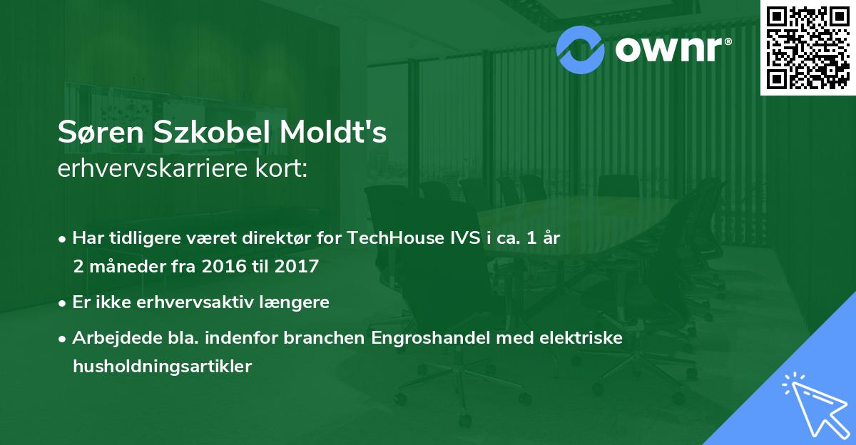 Søren Szkobel Moldt's erhvervskarriere kort