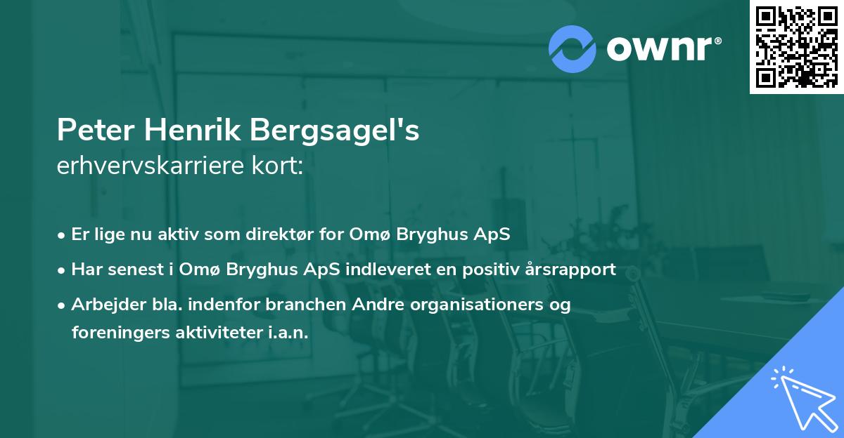Peter Henrik Bergsagel's erhvervskarriere kort