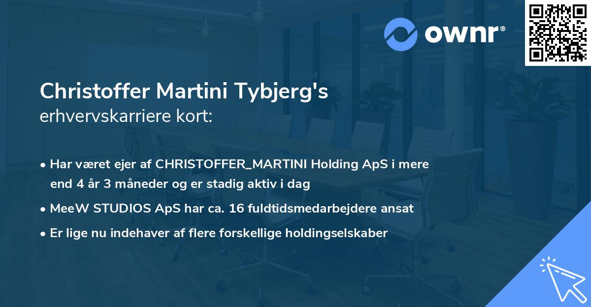 Christoffer Martini Tybjerg's erhvervskarriere kort