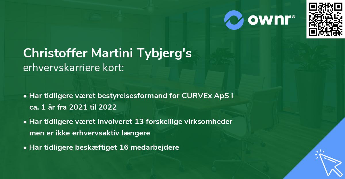 Christoffer Martini Tybjerg's erhvervskarriere kort