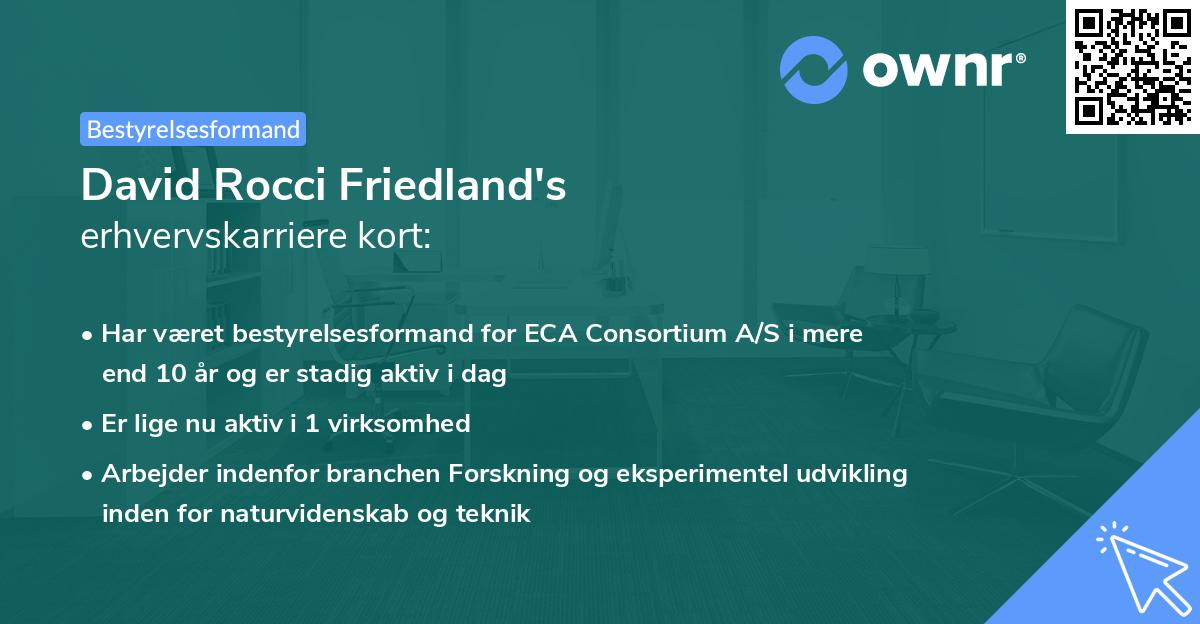 David Rocci Friedland's erhvervskarriere kort
