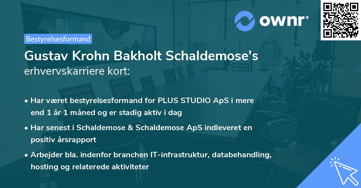 Gustav Krohn Bakholt Schaldemose's erhvervskarriere kort