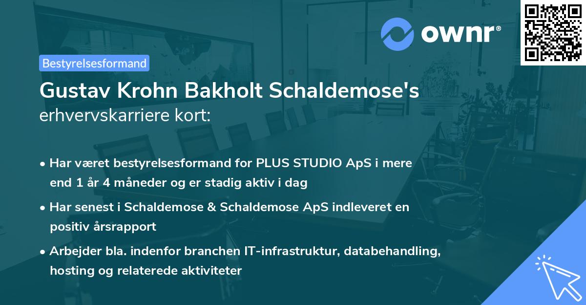 Gustav Krohn Bakholt Schaldemose's erhvervskarriere kort