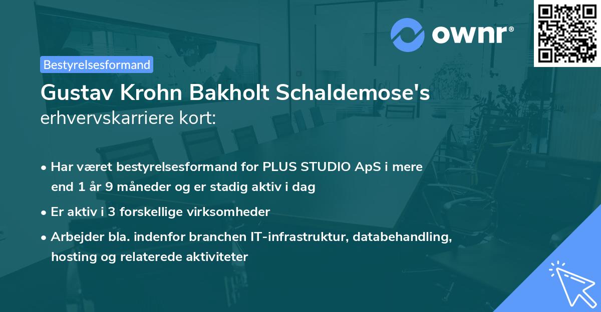 Gustav Krohn Bakholt Schaldemose's erhvervskarriere kort