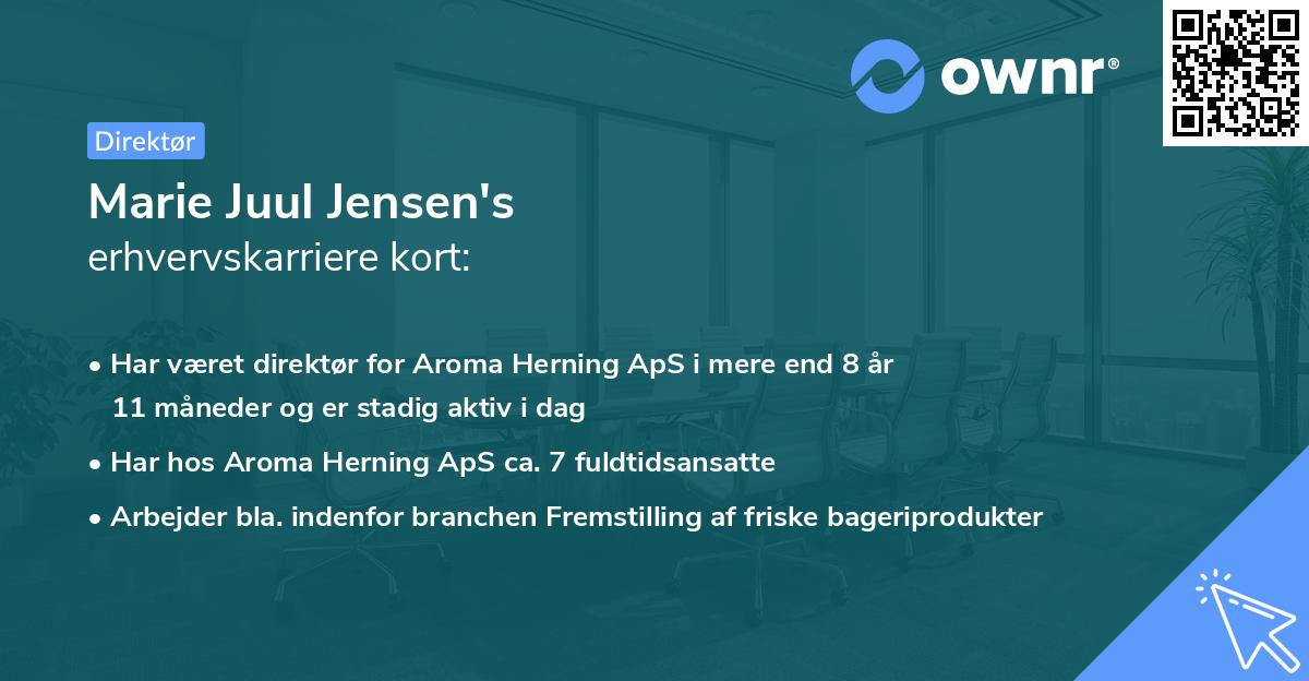 Marie Juul Jensen's erhvervskarriere kort