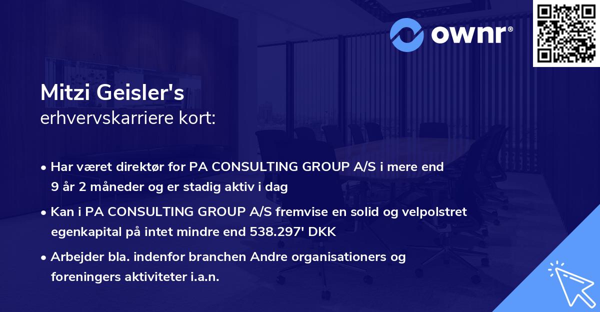 Mitzi Geisler's erhvervskarriere kort