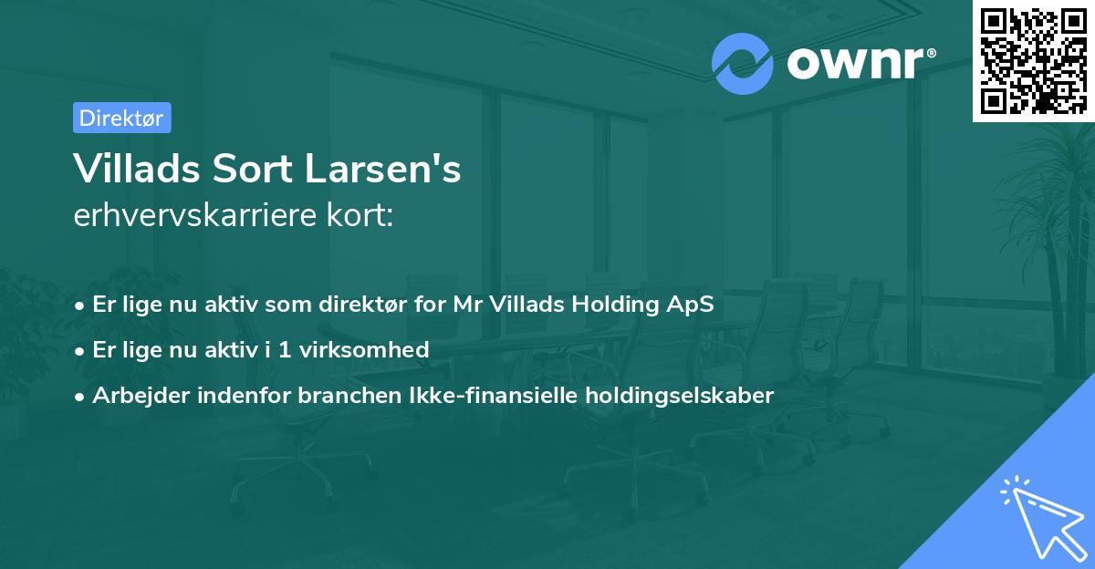 Villads Sort Larsen's erhvervskarriere kort