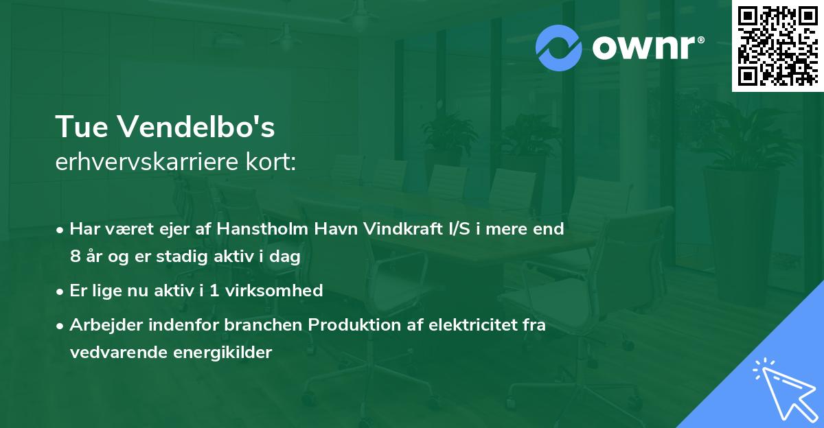 Tue Vendelbo's erhvervskarriere kort