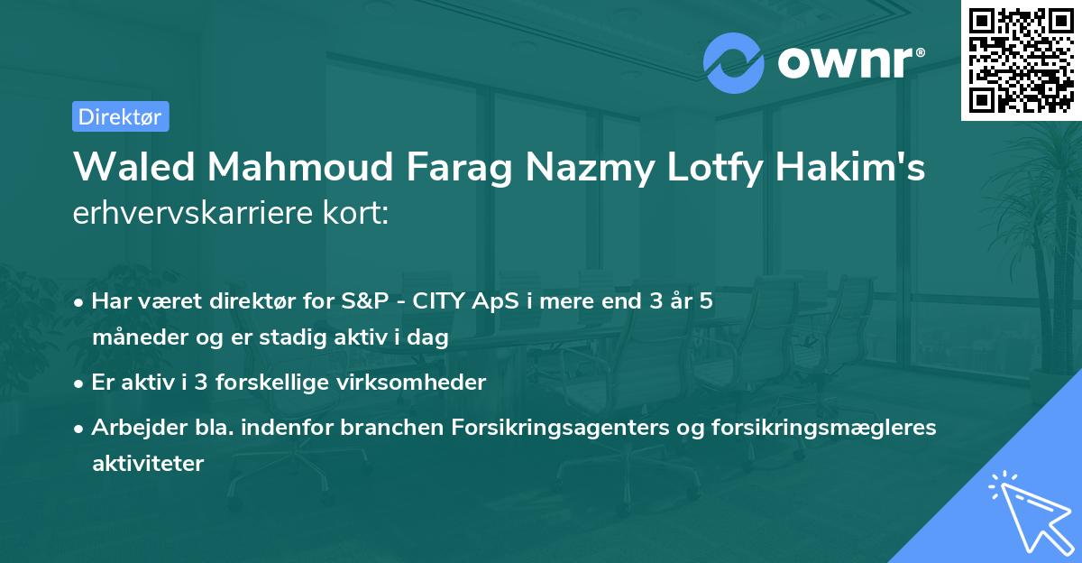 Waled Mahmoud Farag Nazmy Lotfy Hakim's erhvervskarriere kort