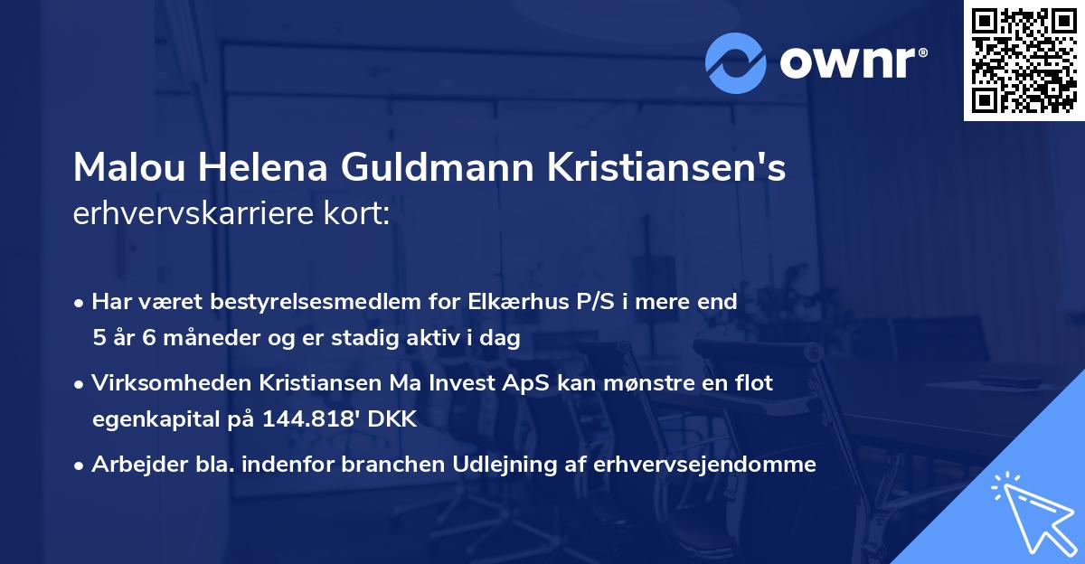 Malou Helena Guldmann Kristiansen's erhvervskarriere kort