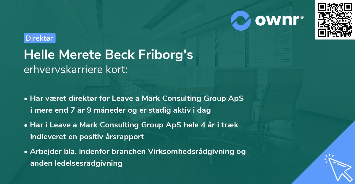 Helle Merete Beck Friborg's erhvervskarriere kort