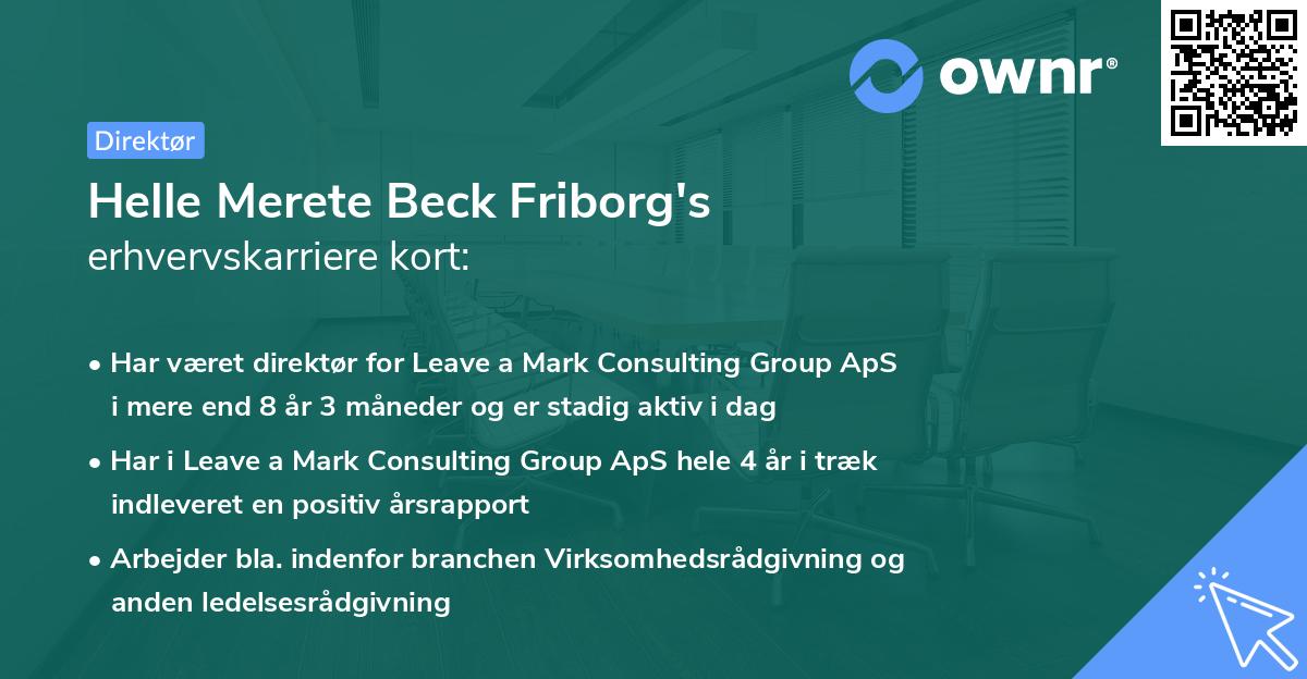 Helle Merete Beck Friborg's erhvervskarriere kort