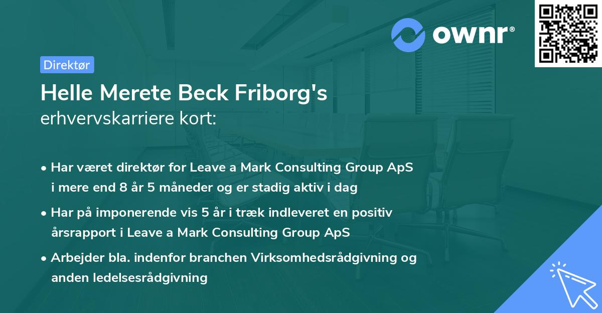 Helle Merete Beck Friborg's erhvervskarriere kort