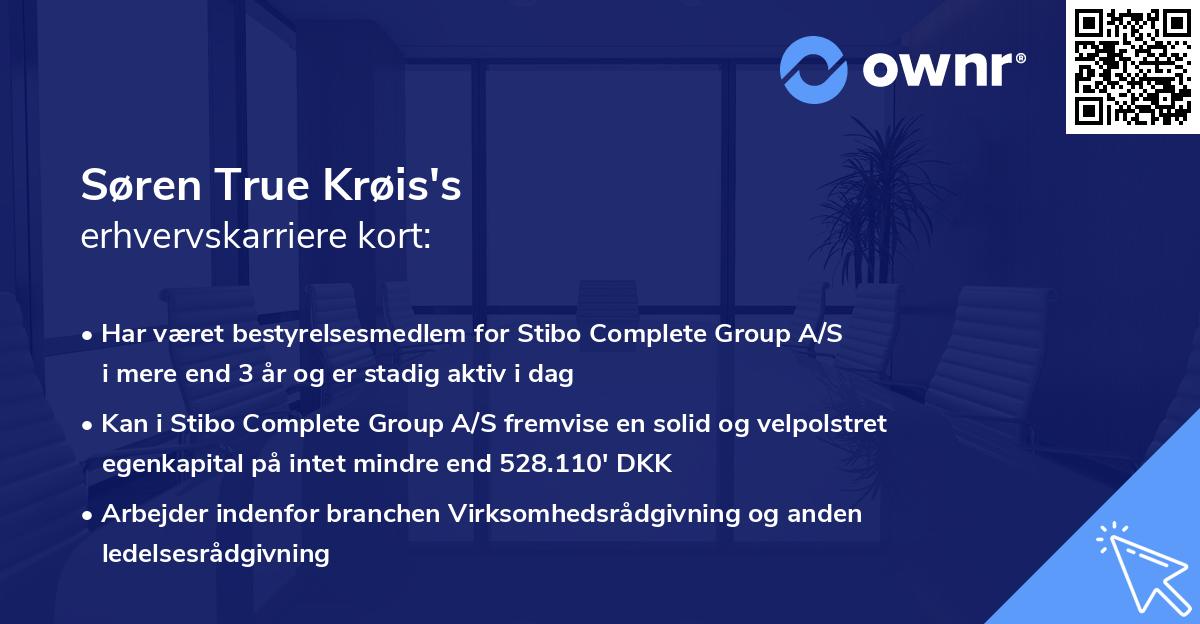 Søren True Krøis's erhvervskarriere kort