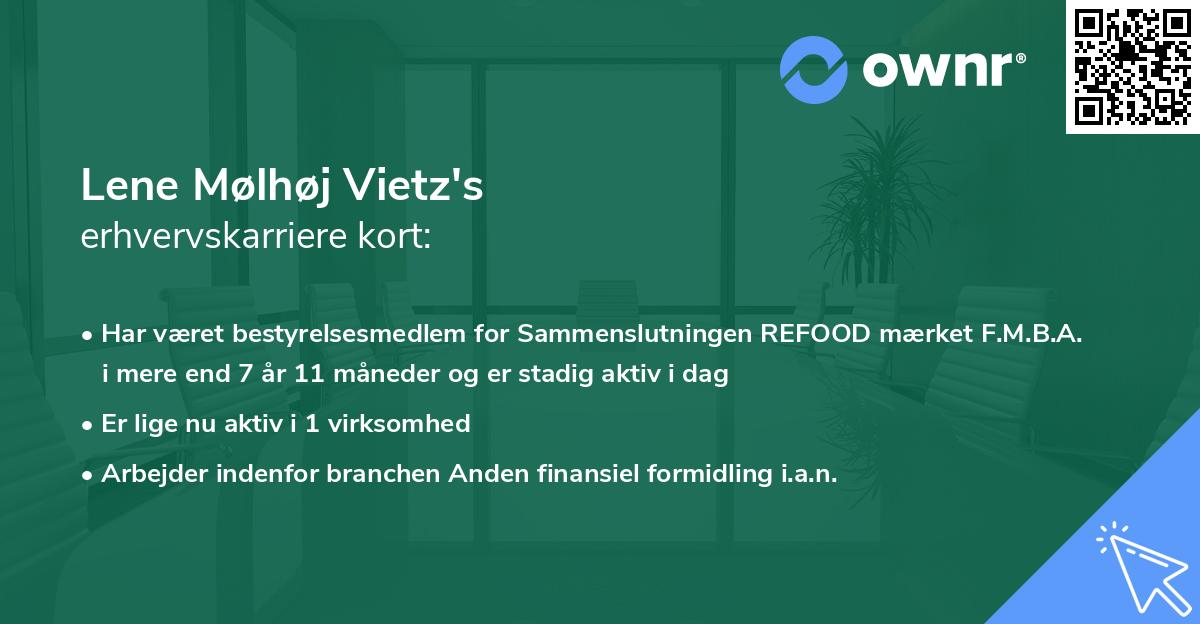 Lene Mølhøj Vietz's erhvervskarriere kort
