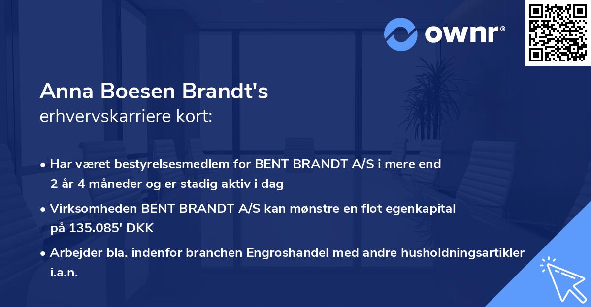 Anna Boesen Brandt's erhvervskarriere kort