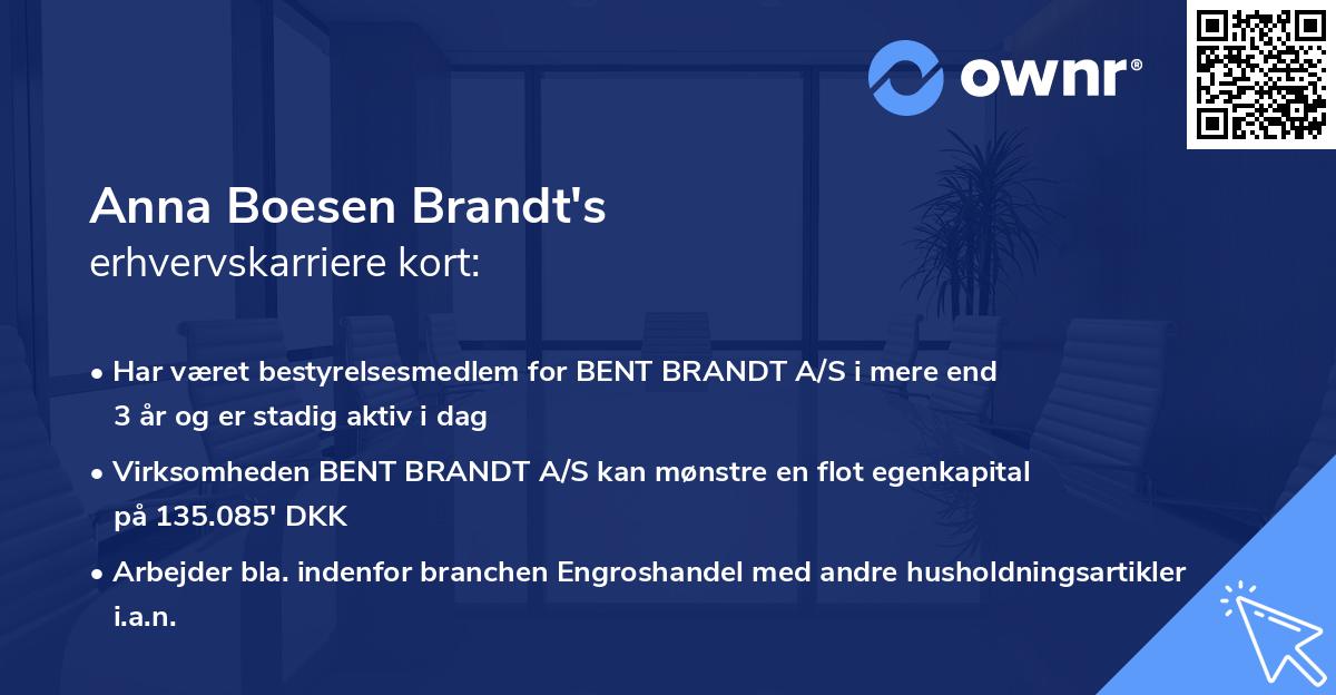 Anna Boesen Brandt's erhvervskarriere kort