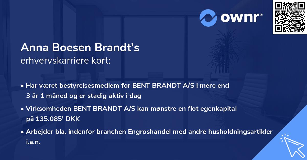 Anna Boesen Brandt's erhvervskarriere kort