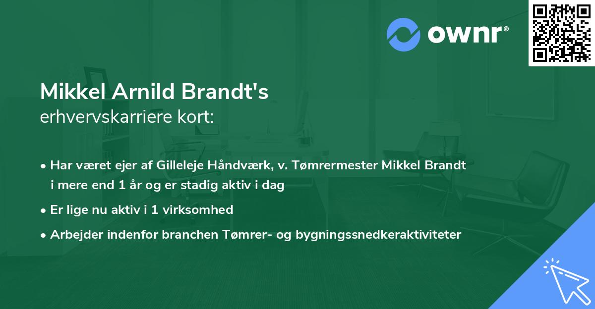 Mikkel Arnild Brandt's erhvervskarriere kort