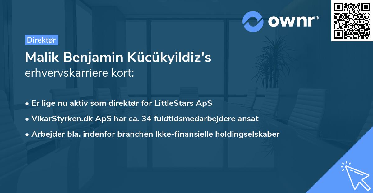 Malik Benjamin Kücükyildiz's erhvervskarriere kort