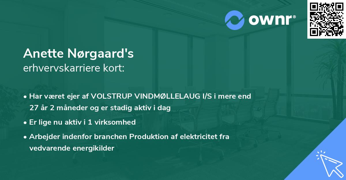 Anette Nørgaard's erhvervskarriere kort